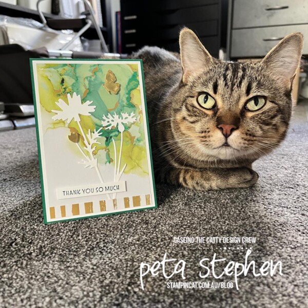 #ctc365 #stampin_cat #expressionsinink #meadowdies #stampinup