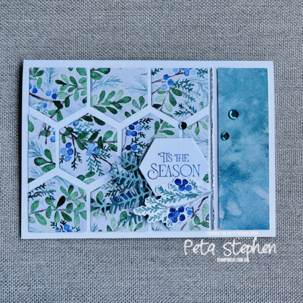 #ctc443 #stampin_cat #wintermeadowsuite #magicalmeadow #stampinup