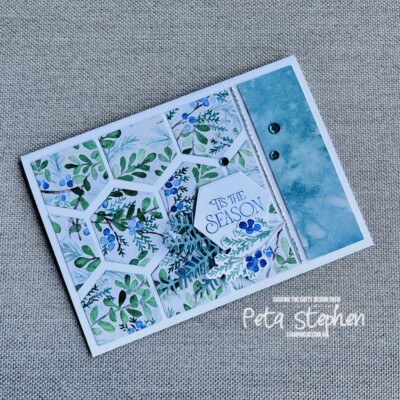 #ctc443 #stampin_cat #wintermeadowsuite #magicalmeadow #stampinup