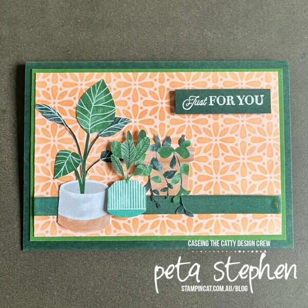 #ctc360 #stampin_cat #masking #bloomwhereyoureplanted #celebratingyou #stampinup