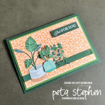 #ctc360 #stampin_cat #masking #bloomwhereyoureplanted #celebratingyou #stampinup