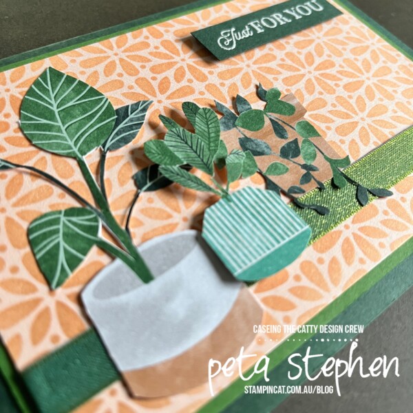 #ctc360 #stampin_cat #masking #bloomwhereyoureplanted #celebratingyou #stampinup