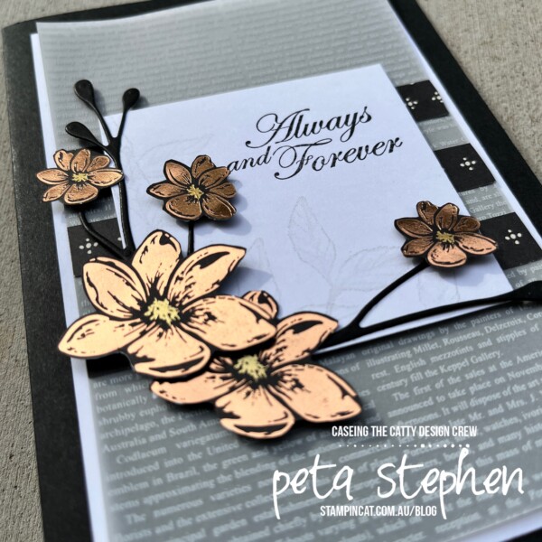 #ctc366 #stampin_cat #simplyelegantdsp #vellumlayeringdesigns #foreverblossoms #stampinup