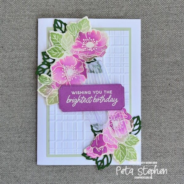 #ctc485 #stampin_cat #foreverplaid #enduringbeautydies #stampinup