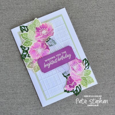 #ctc485 #stampin_cat #foreverplaid #enduringbeautydies #stampinup