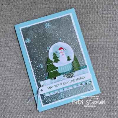 #ctc494 #stampin_cat #snowyscenesdsp #snowflakesky3demb #pompomribbon #decorativetrees #stampinup