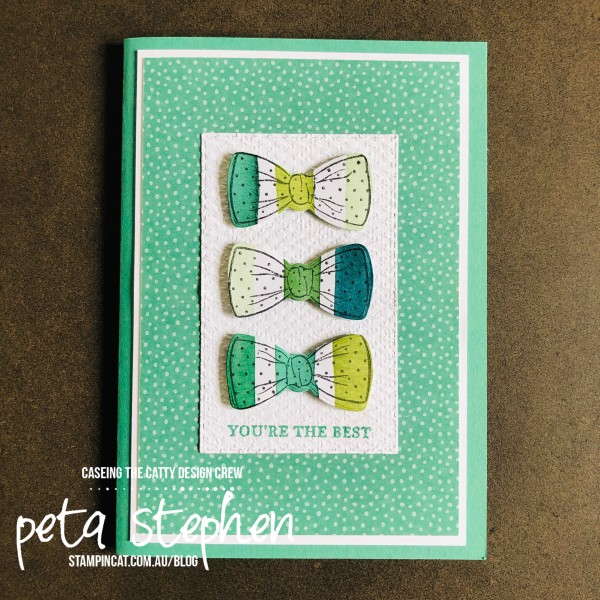 #ctc310 #stampin_cat #suit&tiedies #handsomelysuited #stampinup